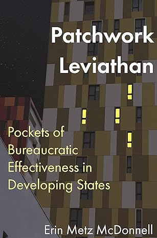 patchwork leviathan pockets of bureaucratic effectiveness in developing states 1st edition erin metz