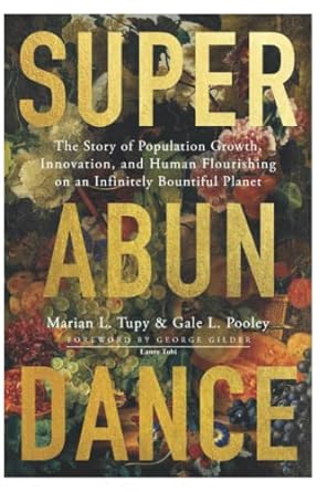 superabundance 1st edition lanre tobi 979-8359987318