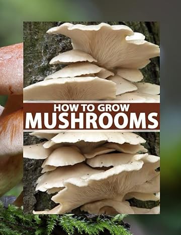 how to start a mushroom farm 1st edition nyam david 979-8353743699