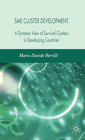 sme cluster development a dynamic view of survival clusters in developing countries 2007th edition m parrilli