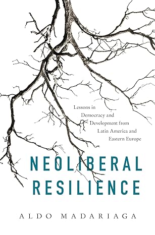 neoliberal resilience lessons in democracy and development from latin america and eastern europe 1st edition