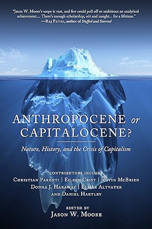 anthropocene or capitalocene nature history and the crisis of capitalism 1st edition elmar altvater ,eileen