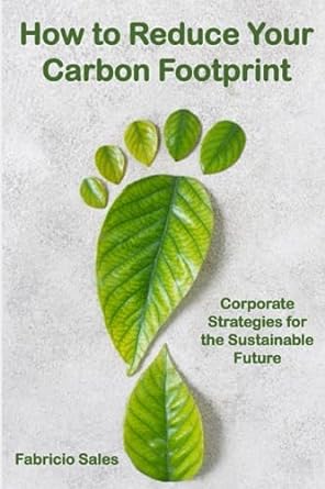 how to reduce your carbon footprint corporate strategies for the sustainable future 1st edition fabricio