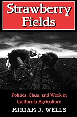 strawberry fields politics class and work in california agriculture 1st edition miriam j. wells 0801482798,