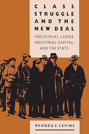 class struggle and the new deal industrial labor industrial capital and the state 1st edition rhonda f levine