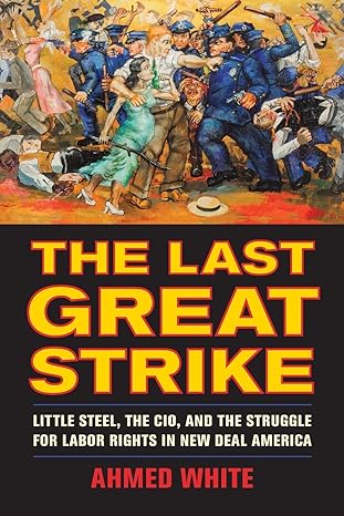 the last great strike little steel the cio and the struggle for labor rights in new deal america 1st edition