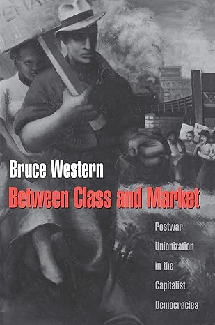 between class and market 1st edition bruce western 0691010331, 978-0691010335