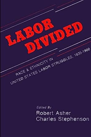 labor divided race and ethnicity in united states labor struggles 1835 1960 1st edition robert asher, charles