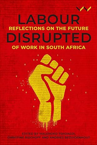 labour disrupted reflections on the future of work in south africa 1st edition malehoko tshoaedi, christine