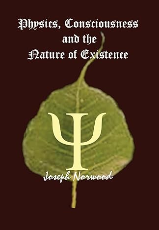 physics consciousness and the nature of existence 1st edition joseph norwood 1403334269, 978-1403334268
