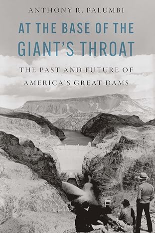 at the base of the giants throat the past and future of americas great dams 1st edition anthony r palumbi