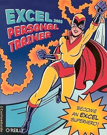 excel 2003 personal trainer become an excel superhero 1st edition inc customguide 0596008538, 978-0596008536