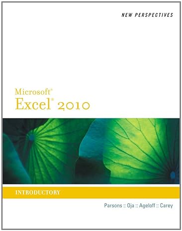 bundle new perspectives on microsoft excel 2010 introductory + angel printed access card for new perspectives