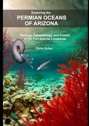 exploring the permian oceans of arizona geology paleontology and fossils of the fort apache limestone 1st