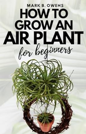 mark b owens how to grow an air plant for beginners 1st edition mark b owens b0cj4f33td, 979-8859121793