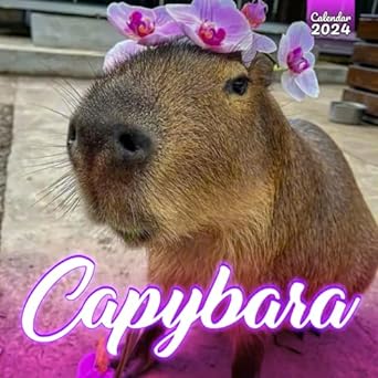 capybara calendar 2024 a year of adorable moments with natures giant rodents giftable funny cute adorable