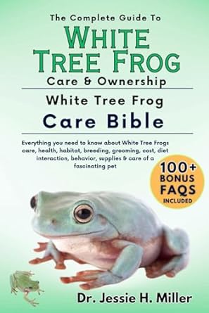 the complete guide to white treee frog care and ownership everything you need to know about white tree frogs