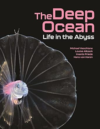 the deep ocean life in the abyss 1st edition michael vecchione ,louise allcock ,imants priede ,hans van haren