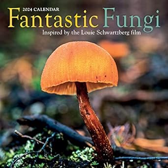 fantastic fungi wall calendar 2024 inspired by the louie schwartzberg film 1st edition workman calendars