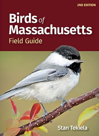 birds of massachusetts field guide 2nd edition stan tekiela 1647554039, 978-1647554033