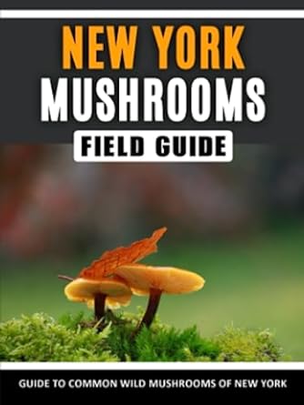 mushrooms of new york identification field guide to common wild mushrooms in the northeast 1st edition qarrar