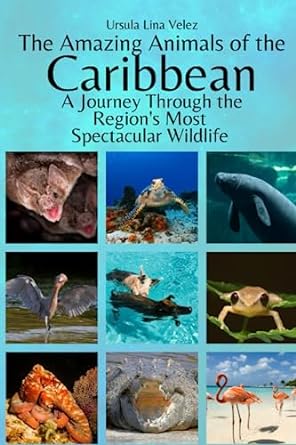 the amazing animals of the caribbean a journey through the regions most spectacular wildlife 1st edition