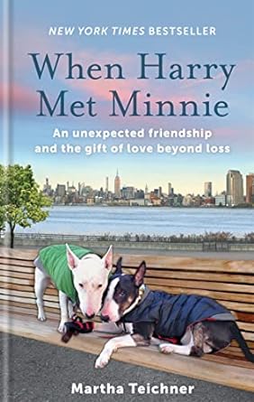 when harry met minnie an unexpected friendship and the gift of love beyond loss 1st edition martha teichner