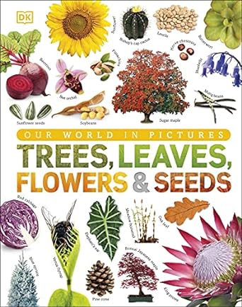 trees leaves flowers and seeds a visual encyclopedia of the plant kingdom 1st edition dk 0241339928,