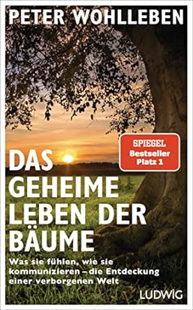 das geheime leben der baume was sie fuhlen wie sie kommunizieren die entdeckung einer verborgenen welt 1st