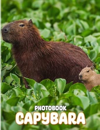 capybara photobook the biggest rodent picture book to decor room home office with 40 illustrations pages for