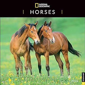national geographic horses 2024 wall calendar 1st edition national geographic ,disney 0789343436,