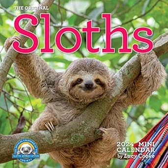 original sloths mini wall calendar 2024 celebrate life in the slow lane 1st edition lucy cooke ,workman