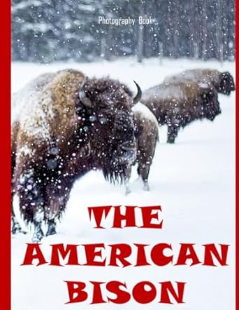 the american bison 50 images of the majestic american bison the symbol of strength resilience and