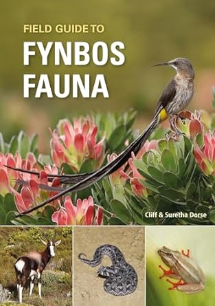 field guide to fynbos fauna 1st edition cliff dorse ,suretha dorse b0clqmnmbp, b0cky8zwdj