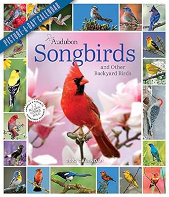 audubon songbirds and other backyard birds picture a day wall calendar 2022 your daily sighting of songsters