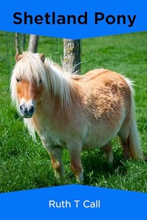 shetland pony 1st edition ruth t call b0cnvrs4vj, 979-8868398643