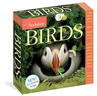 audubon birds page a day calendar 2021 1st edition national audubon society ,workman calendars 152350899x,