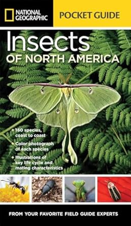 national geographic pocket guide to insects of north america 1st edition arthur v evans 1426216475,