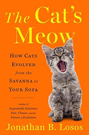 the cats meow how cats evolved from the savanna to your sofa 1st edition jonathan b losos 1984878700,