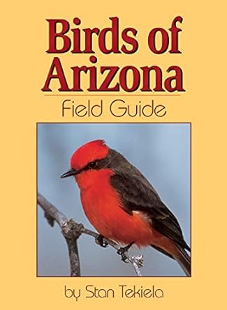 birds of arizona field guide 1st edition stan tekiela 1591930154, 978-1591930150