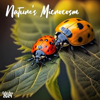 micro wonders 2024 calendar of insects and bugs a year of tiny marvels and natures intricate designs insect