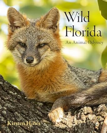 wild florida an animal odyssey 1st edition kirsten hines 0813069815, 978-0813069814