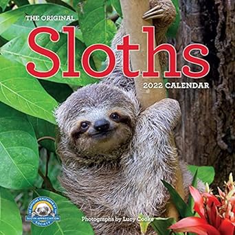 original sloths wall calendar 2022 12 months of irresitable cuteness sloth trivia stories and facts 1st