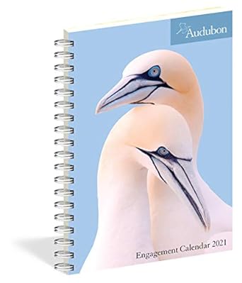 audubon engagement calendar 2021 1st edition national audubon society ,workman calendars 1523508698,