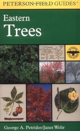 a field guide to eastern trees eastern united states and canada including the midwest 1st edition george a