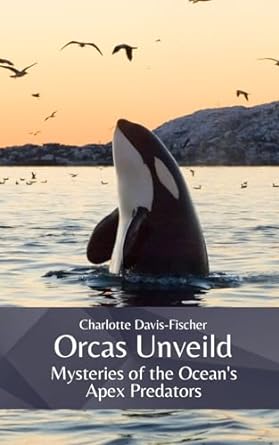 orcas unveiled mysteries of the oceans apex predators 1st edition charlotte charlotte davis fischer