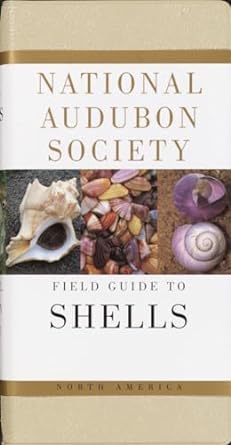 national audubon society field guide to north american seashells 1st edition national audubon society