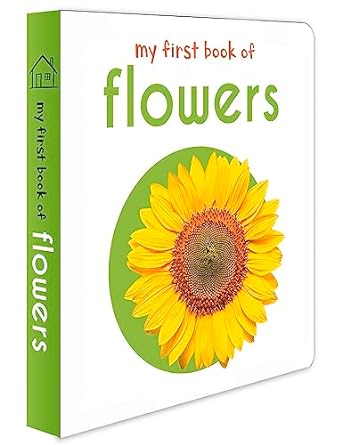 my first book of flowers 1st edition wonder house books 9386538415, 978-9386538413