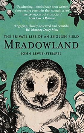 meadowland 1st edition lewis stempel john 0552778990, 978-0552778992