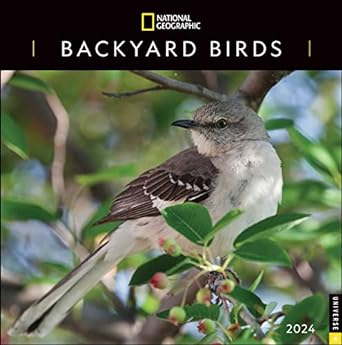 national geographic backyard birds 2024 wall calendar 1st edition national geographic ,disney 0789343398,